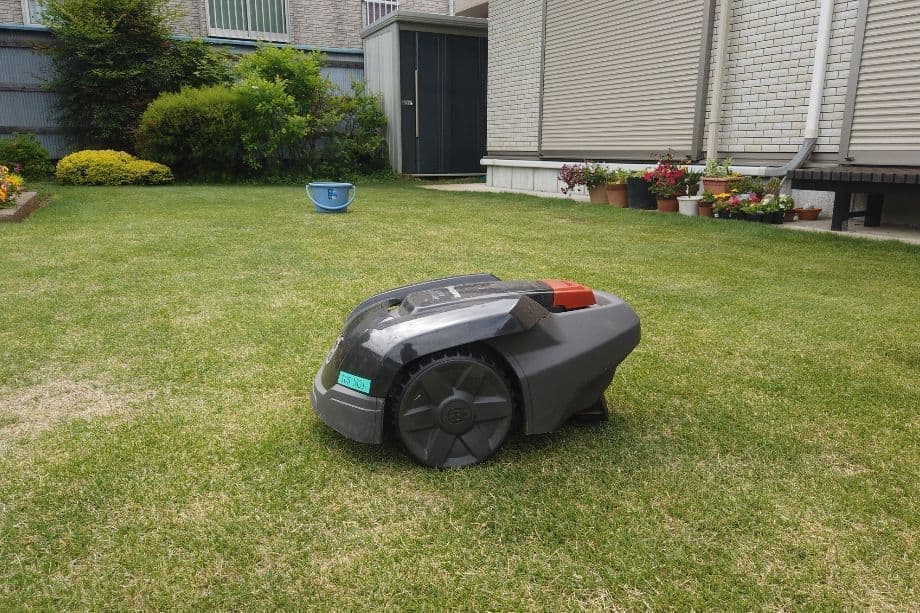 photo_20190506154918_6554319_0.jpg